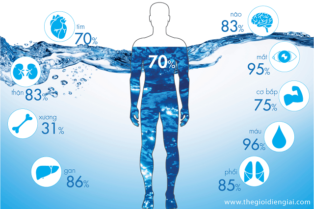 Nước điện giải giúp cân băng cơ thể, hỗ trợ tăng cường sức khỏe