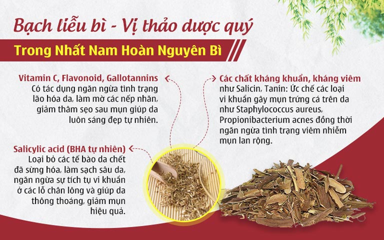 Bạch liễu bì là vị thảo dược được đánh giá cao trong liệu trình trị mụn Nhất Nam Hoàn Nguyên Bì
