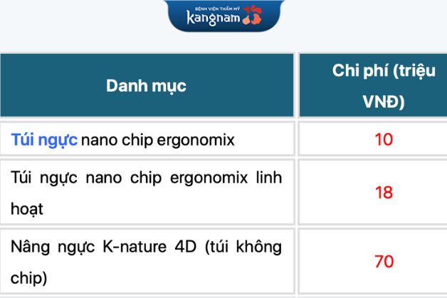 Bảng giá túi nano chip ergonomix tại Kangnam