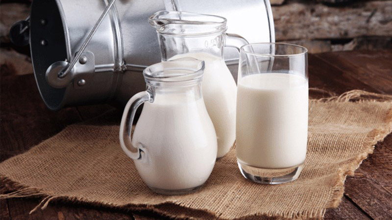 Sữa tươi chứa nhiều dưỡng chất tốt giúp chữa rạn da chân