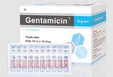 dược lực thuốc Gentamicin